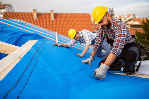 Best Roof Waterproofing Services  in Green Meadows, OH